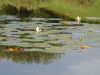 DSC00356.jpg