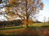 DSC01514.jpg