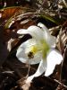 DSC04377.jpg