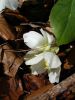 DSC04426.jpg