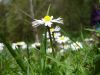 DSC06626.jpg