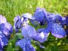 DSC06815.jpg