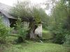 DSC06996.jpg