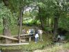DSC07003.jpg