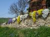 DSC07059.jpg