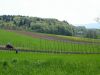 DSC07065.jpg