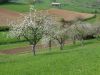 DSC07090.jpg