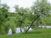 DSC07293.jpg