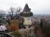 DSC07572.jpg