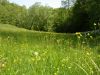 DSC07891.jpg